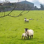 Holiday The Neale By Interhome Cross (Mayo)