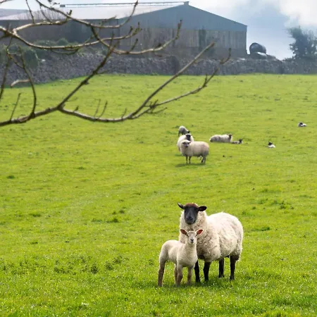 Holiday The Neale By Interhome Cross (Mayo)